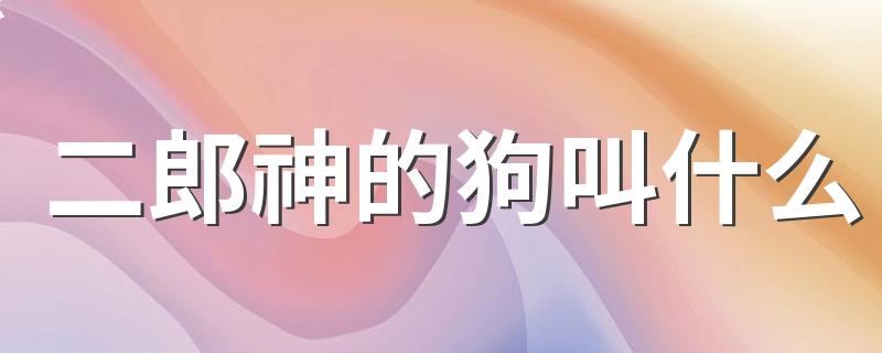 二郎神的狗叫什么 哮天犬简介