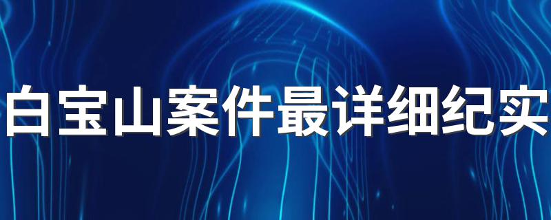 白宝山案件最详细纪实 白宝山案件最详细纪实列述