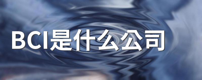BCI是什么公司 BCI公司解释