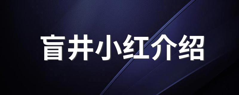 盲井小红介绍 关于盲井小红的介绍