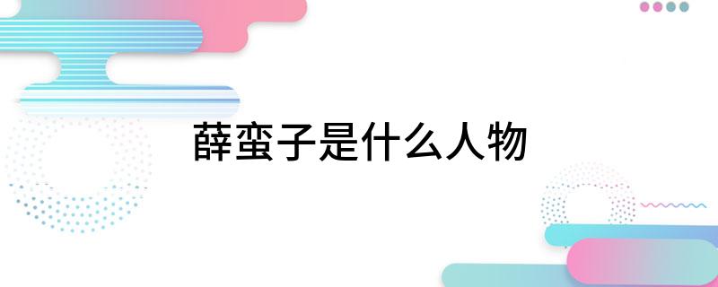 薛蛮子是什么人物