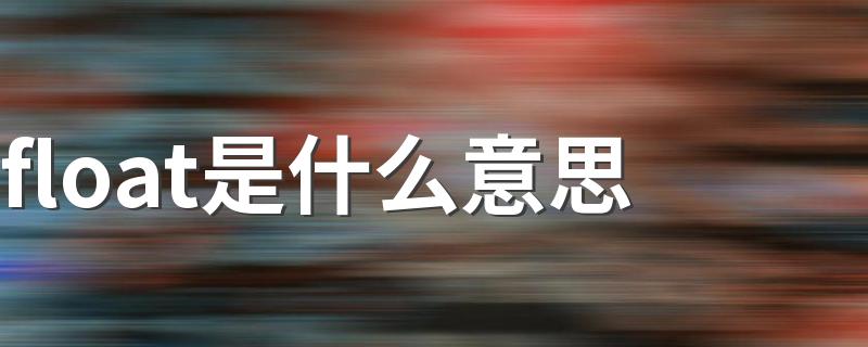 float是什么意思 float的中文意思