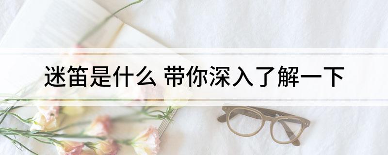 迷笛是什么 带你深入了解一下