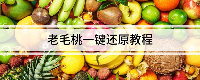老毛桃一键还原教程