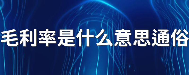 毛利率是什么意思通俗 怎么理解毛利率的意思