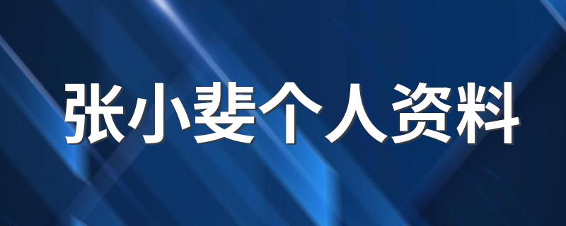 张小斐个人资料 张小斐个人简介