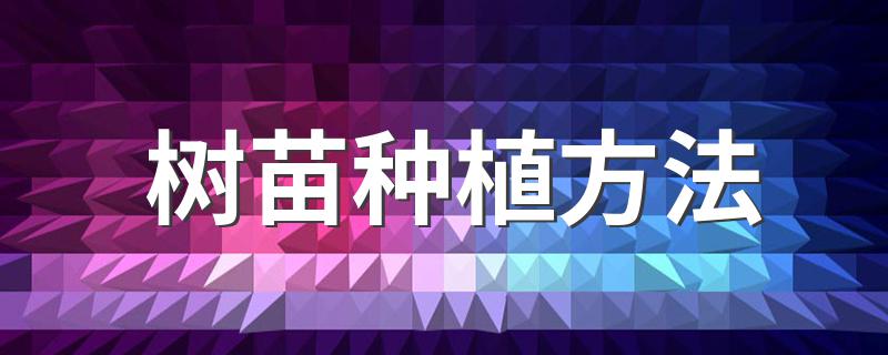 树苗种植方法 怎么种植树苗呢