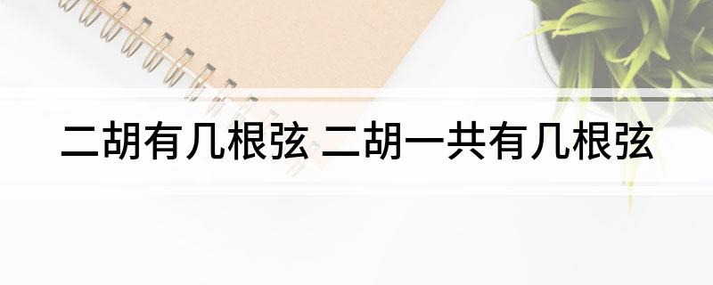 二胡有几根弦 二胡一共有几根弦