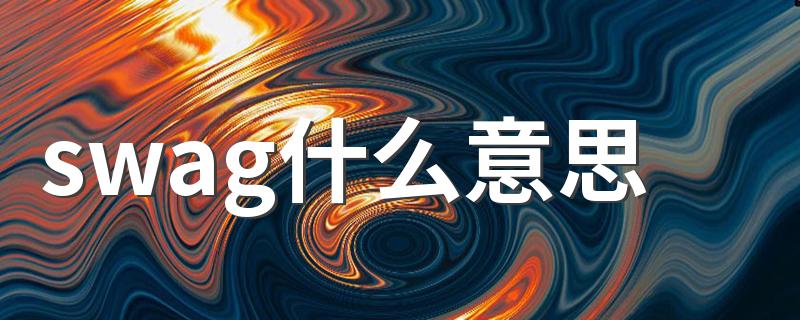 swag什么意思 网络语swag什么意思