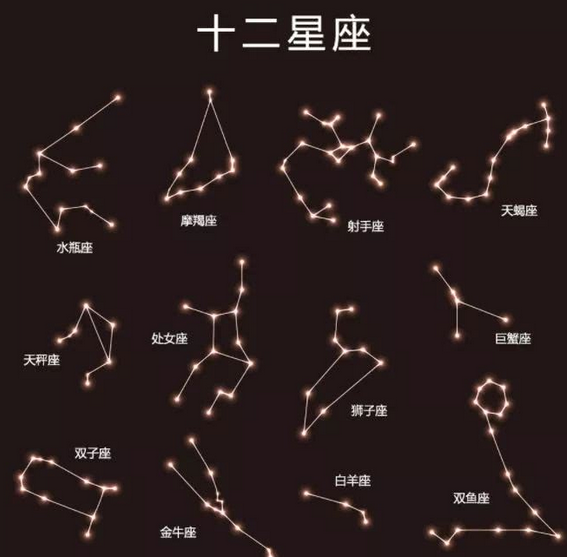 抖音陶白白是什么梗