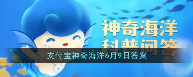 会进行夏眠的海洋动物是什么_支付宝神奇海洋6月9日答案