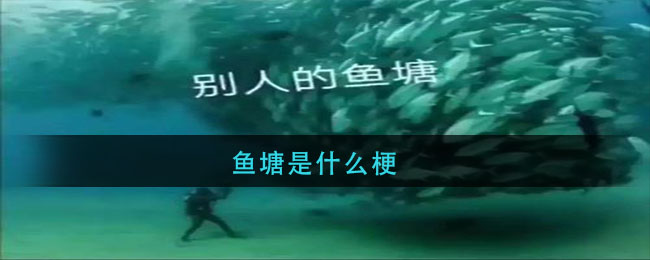 鱼塘是什么梗