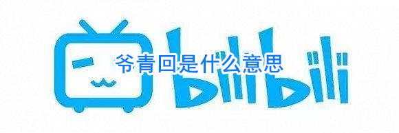 爷青回什么意思_爷青回是什么梗