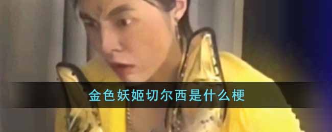 金色妖姬切尔西是什么梗_金色妖姬切尔西梗出处介绍