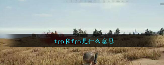 tpp和fpp是什么意思_tpp和fpp有什么区别