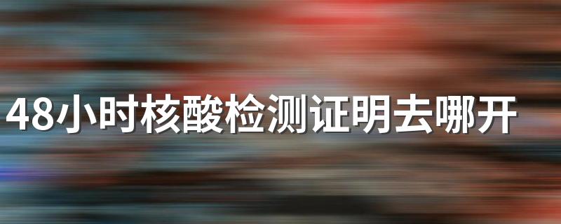 48小时核酸检测证明去哪开