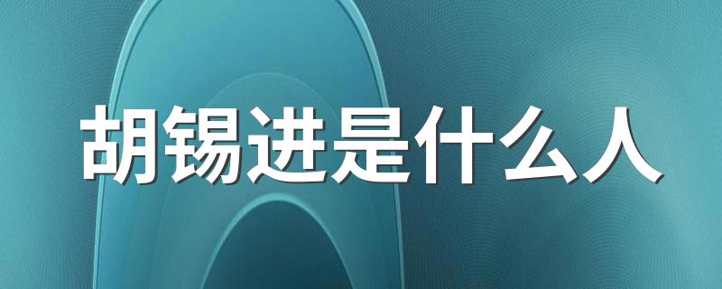 胡锡进是什么人 胡锡进简介