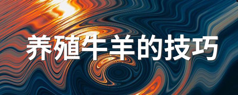 养殖牛羊的技巧 养殖牛羊有什么技巧