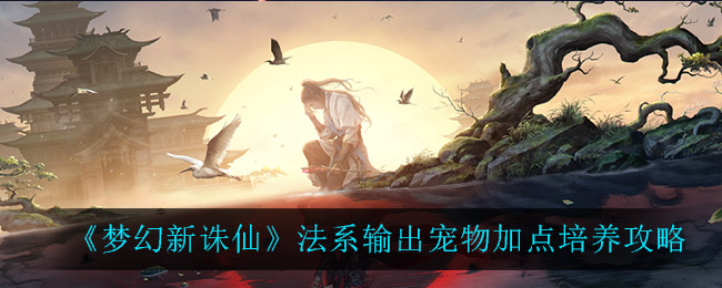 梦幻新诛仙法系输出宠物怎么加点_法系输出宠物加点培养攻略