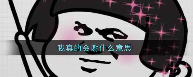 我真的会谢什么意思网络用语_我真的会谢什么意思怨男0