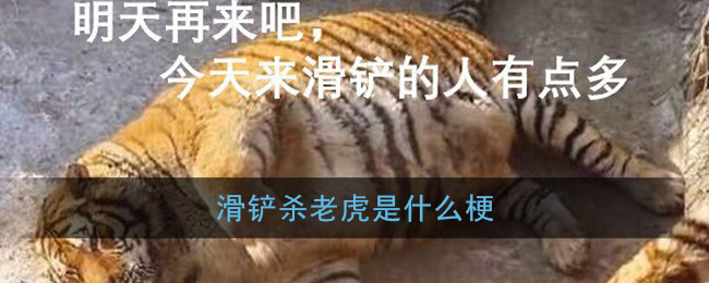 滑铲是什么梗_滑铲杀老虎是什么意思