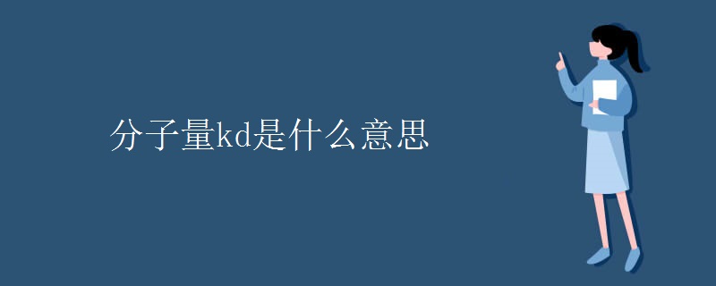 分子量kd是什么意思