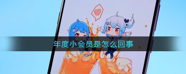 年度小会员是什么_b站年度小会员