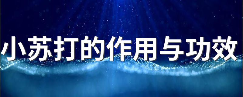 小苏打介绍_小苏打的作用与功效