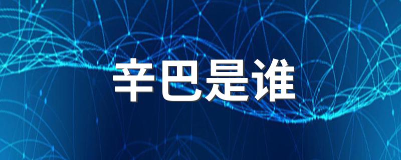 辛巴介绍_辛巴是谁