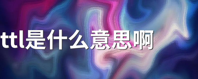 ttl的解释_ttl是什么意思啊