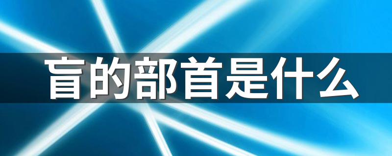 盲的部首是目_盲的部首是什么