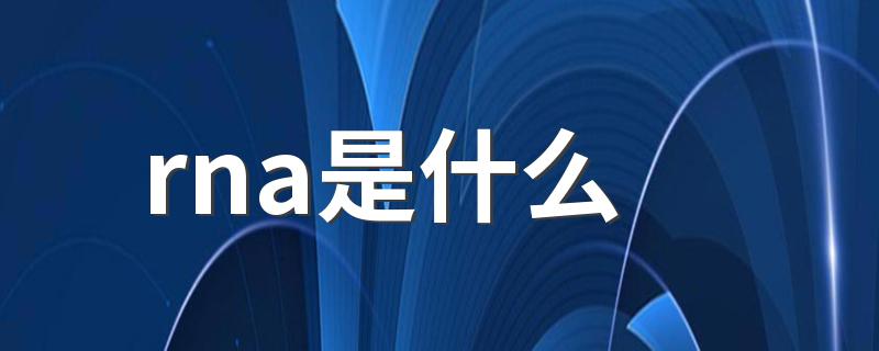rna的简介_rna是什么