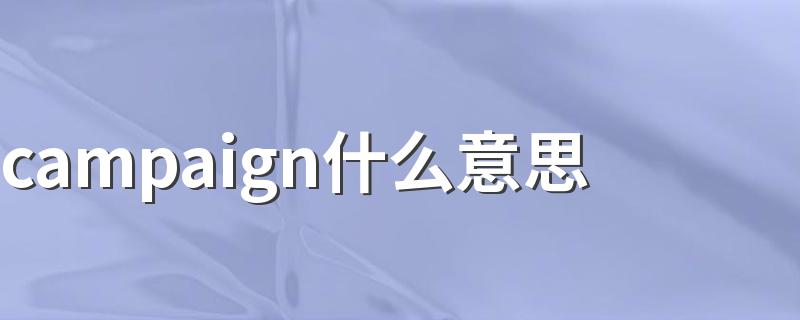 campaign怎么造句_campaign什么意思
