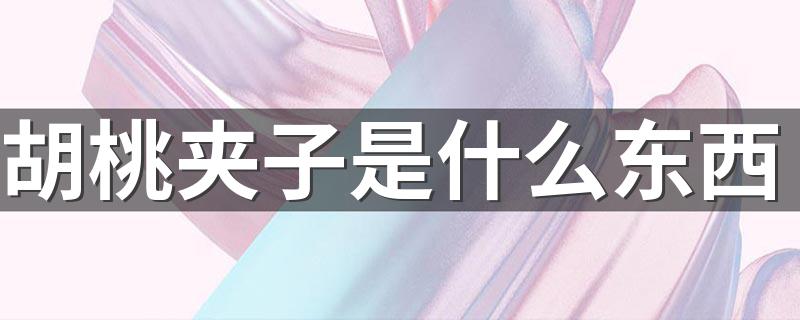 胡桃夹子是什么_胡桃夹子是什么东西