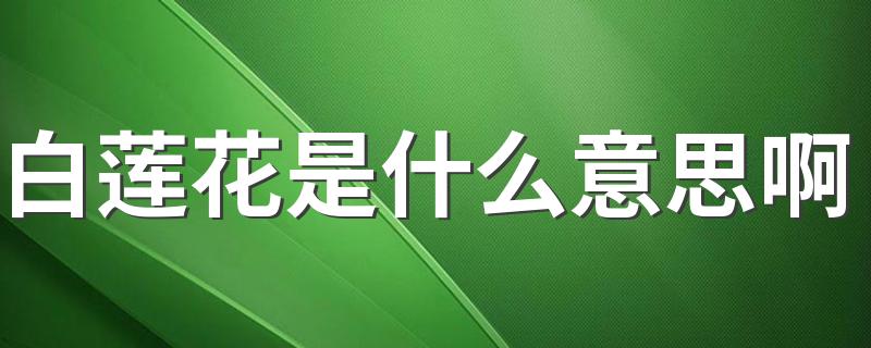 白莲花意思简述_白莲花是什么意思啊