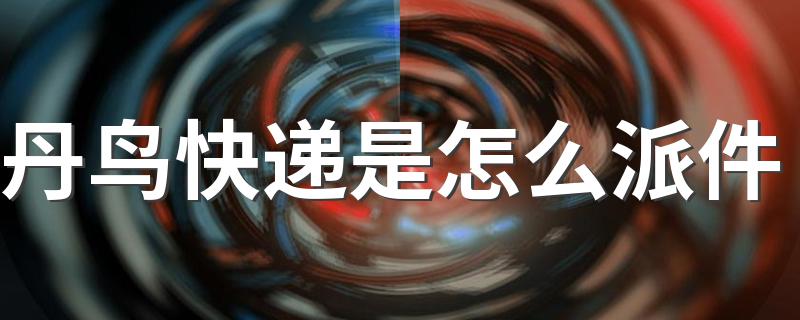你知道吗_丹鸟快递是怎么派件