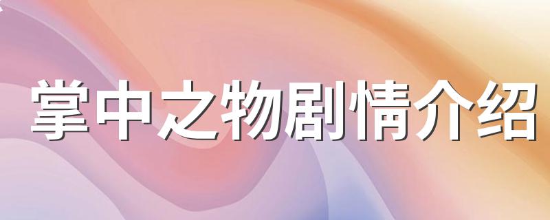 这部剧讲述的是什么故事_掌中之物剧情介绍