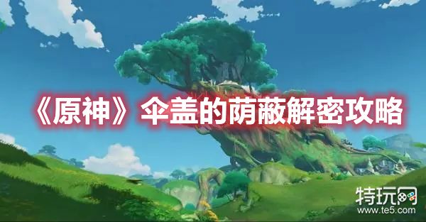 伞盖的荫蔽元素方碑解谜_《原神》伞盖的荫蔽解谜攻略