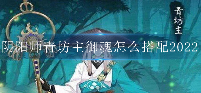 阴阳师青坊主御魂怎么搭配2022_青坊主御魂搭配攻略2022