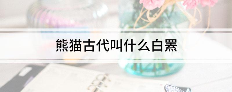熊猫古代叫什么白罴