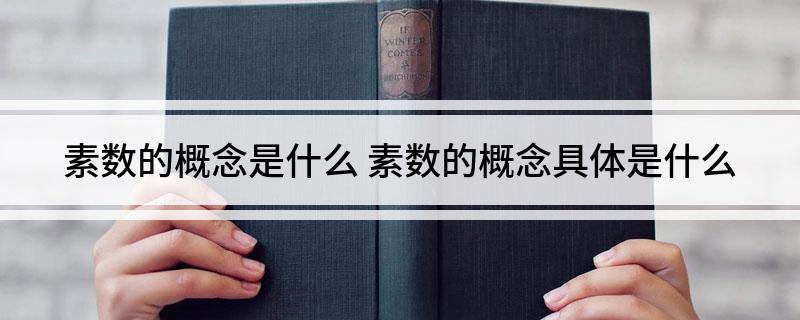 素数的概念是什么 素数的概念具体是什么