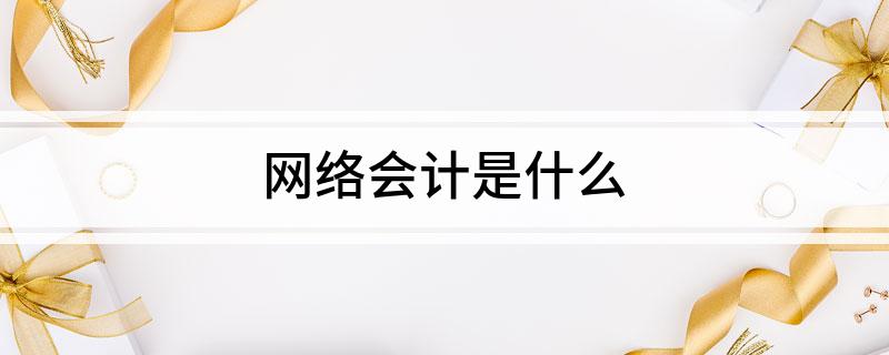 网络会计是什么