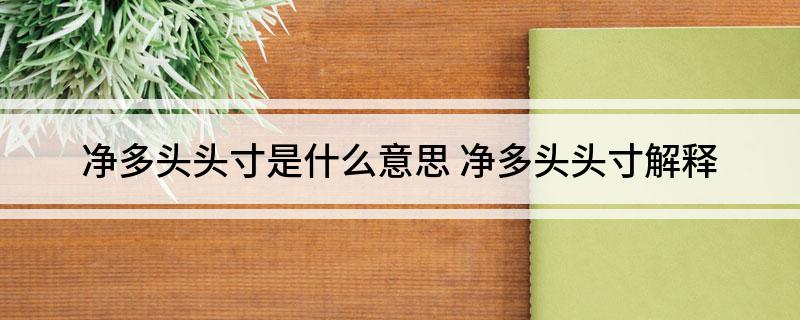 净多头头寸是什么意思 净多头头寸解释