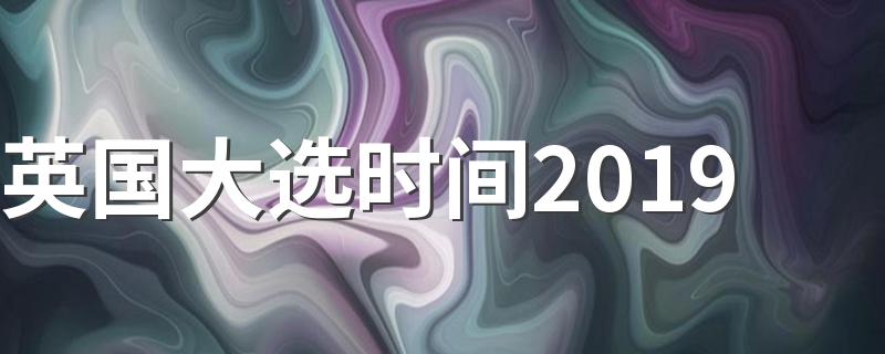英国大选是什么_英国大选时间2019