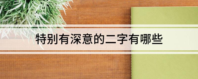 特别有深意的二字有哪些