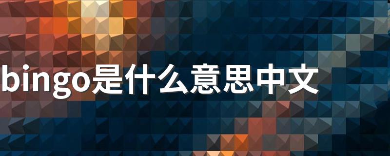bingo的中文意思是什么_bingo是什么意思中文