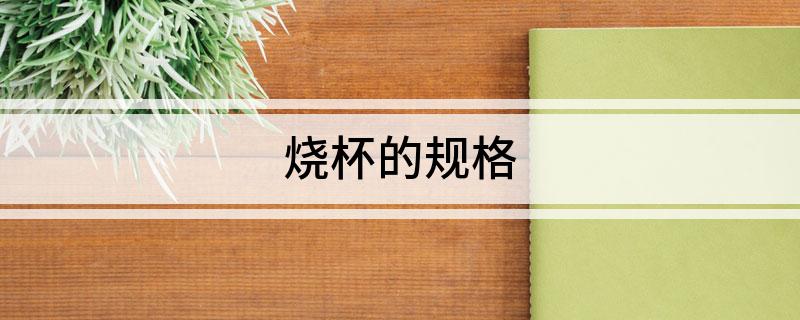 烧杯的规格