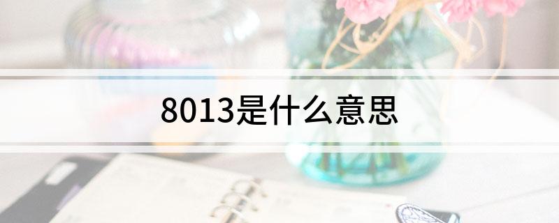 8013是什么意思