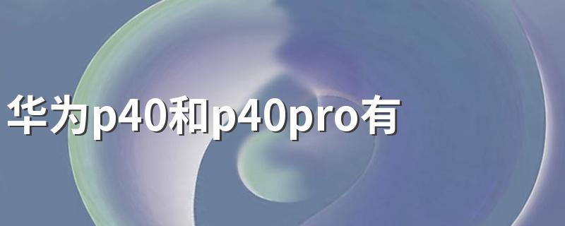 华为p40和p40pro有什么区别详解_华为p40和p40pro有什么区别