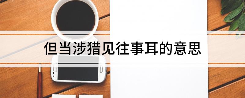 但当涉猎见往事耳的意思